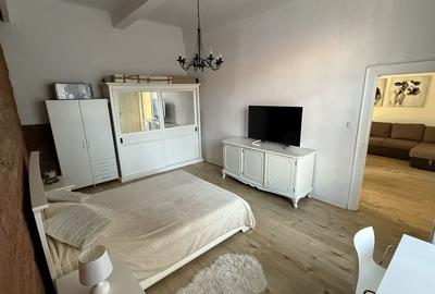 Apartament cu 2 camere semidecomandat în Dosu Bricii - 2