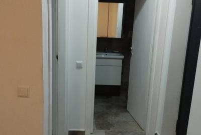 Apartament cu 2 camere semidecomandat, mobilat în Dudu - 8