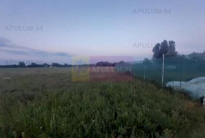 Teren aproape de Bucuresti langa padure intre case - 6