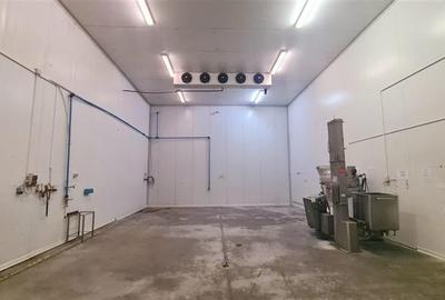Hala industriala cu depozit Frigo, 3650 mp , Timisoara NORD - 5