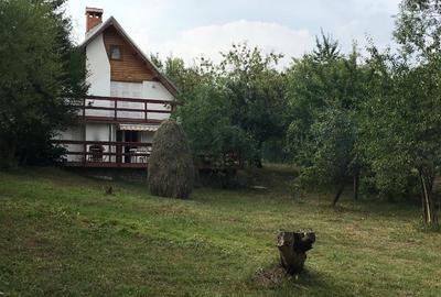 Casa de vacanta  30km de Sinaia - 1
