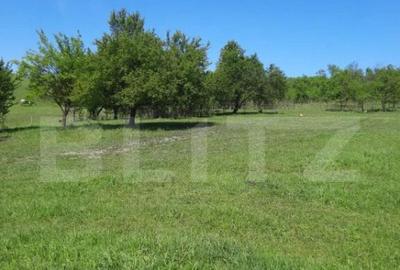 Teren intravilan de vanzare, 28 de ari, zona Herina, Bistrit - 2