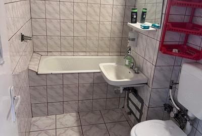 Apartament cu 2 camere nedecomandat în Nufărul - 3