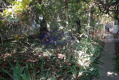 Casă cu 3 camere cu Teren 288 Mp în Eroii Revoluției - 11