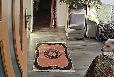 Apartament cu 2 camere semidecomandat în Cantemir - 1