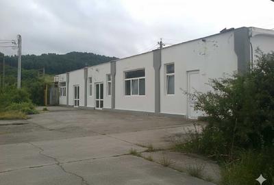 Hale + Atelier Mecanic + Birouri - 1