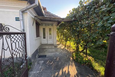 Casă cu 3 camere în Decea - 5