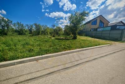 Teren Construcții intravilan de 2000 mp, în Mioveni - 5