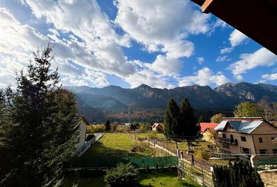 Vila Exclusivista Piatra Arsa Busteni - 13