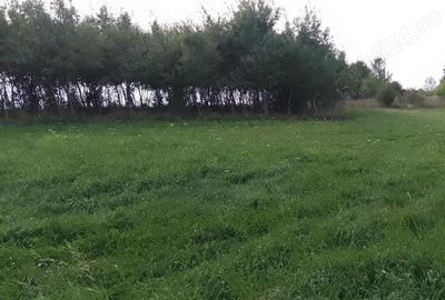 Teren de 4400 mp, în Mitocu Dragomirnei - 2