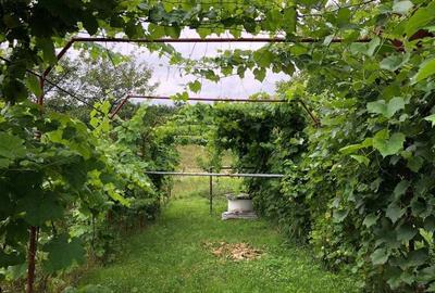 Casă cu 4 camere în Batoți - 2