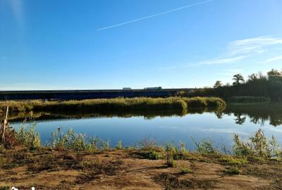 Casă cu 5 camere cu Teren 450 Mp în Brănești - 2