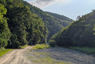 Teren de 4038 mp, în Central - 1