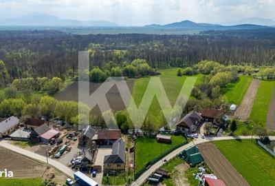 Spațiu comercial, în Lunca Calnicului - 5