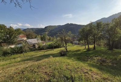 Casă cu Teren 3200 Mp în Central - 3