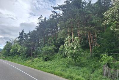 Casă cu 2 camere cu Teren 350 Mp în Cătina - 7