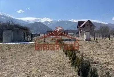 Teren de 4542 mp, în Sâmbăta de Sus - 7