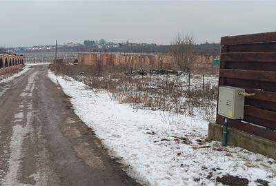 Teren Construcții intravilan de 6383 mp, în Vișan - 8