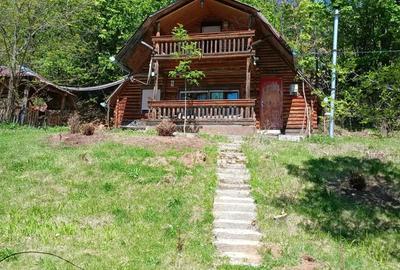 Casă cu 2 camere cu Teren 3400 Mp în Ghelari - 8