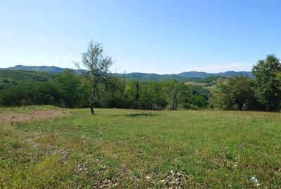 Teren Construcții intravilan de 8757 mp, în Luncoiu de Sus - 3