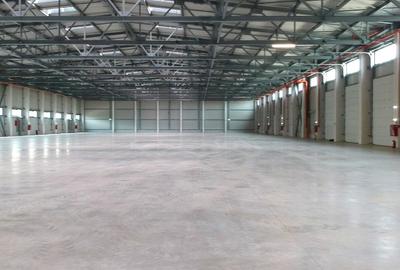 Spațiu industrial, 10500 mp în Odăi - 2
