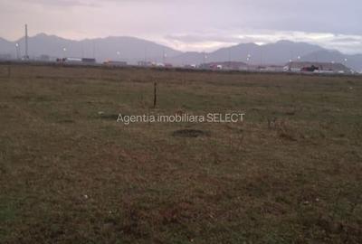 Teren Construcții intravilan de 6300 mp, în Sânpetru - 1