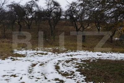 Teren de 1268 mp, în Mihai Viteazu - 4