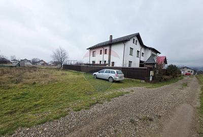 Teren 519mp Dumbrava Rosie / Strada CRANGULUI - 7