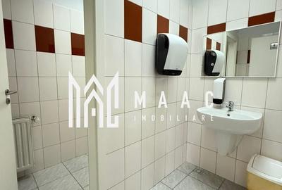 Spatiu de birouri I 186 mpu I Etajul 1 I Zona Sub arini - 11