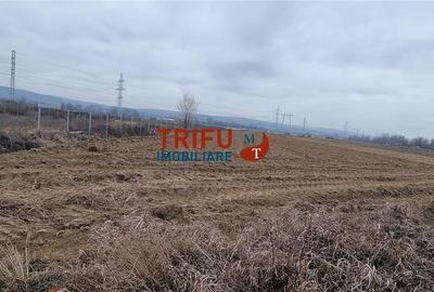 Teren industrial de vanzare 3650 mp in Alba Iulia cu utilitati - 3