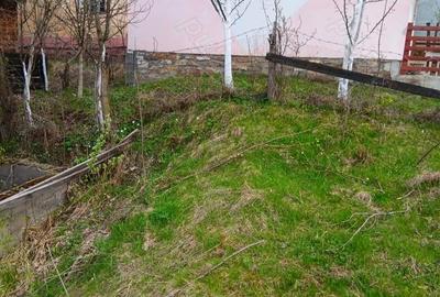 Casă cu Teren 150 Mp în Roșia Montană - 2