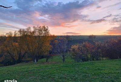 Teren de 2200 mp, în Frumosu - 6