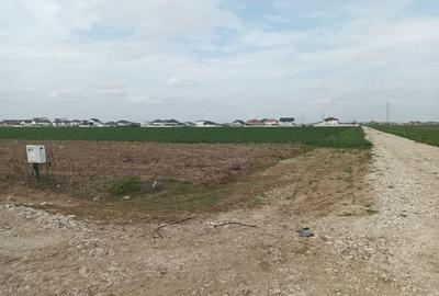 Teren 501 mp | Utilitati la Lot | Statie STV | Sistem de Rate - 10