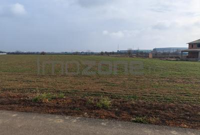 Dragomiresti Valea - Langa Centura, teren 15.600 mp, 35E/mp - 4