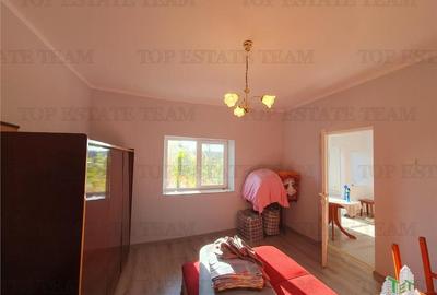 Casa renovata extinsa si teren  5470 mp Pantelimon Jud Constanta - 7