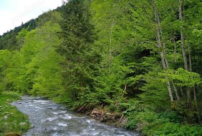 Casă cu Teren 1800 Mp în Dejani - 7