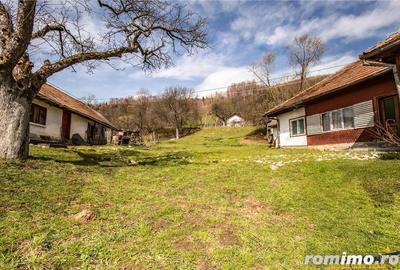 FILM! Pe 6.500mp teren + casa parinteasca, incantatoare pozitionare, acces facil - 5