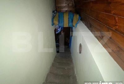 Casa de vanzare cu gradina, 5 camere, Nojorid - 10