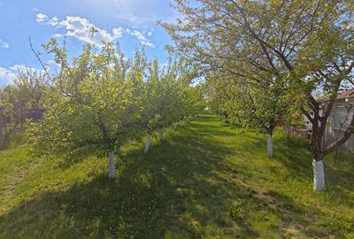 Teren intravilan de 1000 mp, în Daia - 7