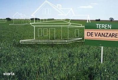 Spațiu comercial, în Nord