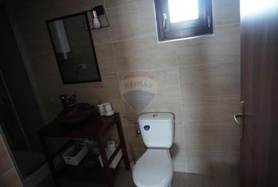 Casă individuală cu 5 camere cu Canalizare în Moisei - 43