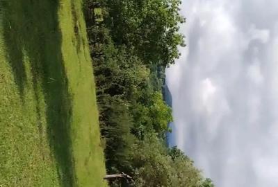 Teren de 7104 mp, în Șișești - 2