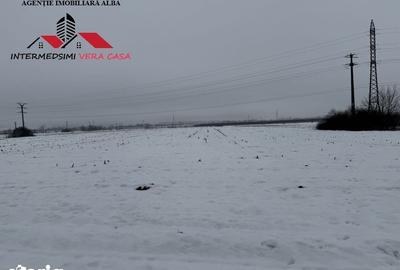 Teren de 3900 mp, în Central - 2