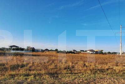 Teren de vanzare Branesti - 1900 mp - 3