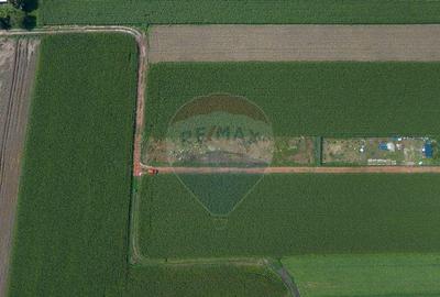 Teren de 1100 mp de vanzare in Stupini - 7