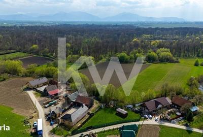 Spațiu comercial, în Lunca Calnicului - 4