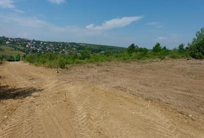 Teren intravilan , Bucium Barnova - 9