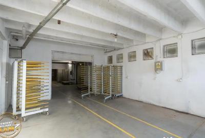 Spațiu comercial, de 1,341 mp, în Valea Crișului - 3