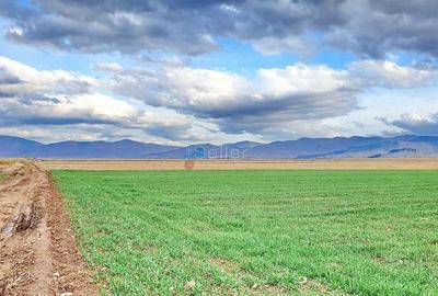 Teren extravilan Tarlungeni - 3