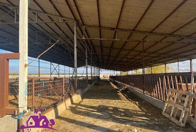 Teren industrial si o constructie pe structura metalica - 1